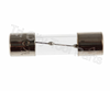 572447 Fuse, 8A  LB WHITE  Kerosene Heaters