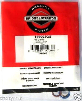 84007979 / 6198 / 196002GS Briggs & Stratton Pressure Washer O-ring Kit