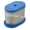 697029 Air Filter Briggs & Stratton