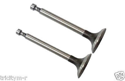 Honda GX160 GX200 Replacement Valve Set Int & Exh Repl 14711-ZF1 Honda GX160 GX200 Replacement Valve Set Int & Exh Repl 14711-ZF1