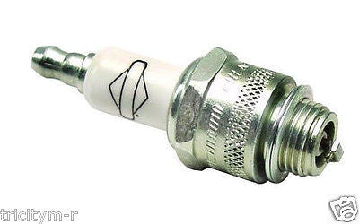 RJ19LM Champion Spark Plug