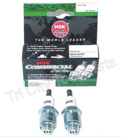 CS1 NGK 2 Pack Spark Plug B2LM / J19LM